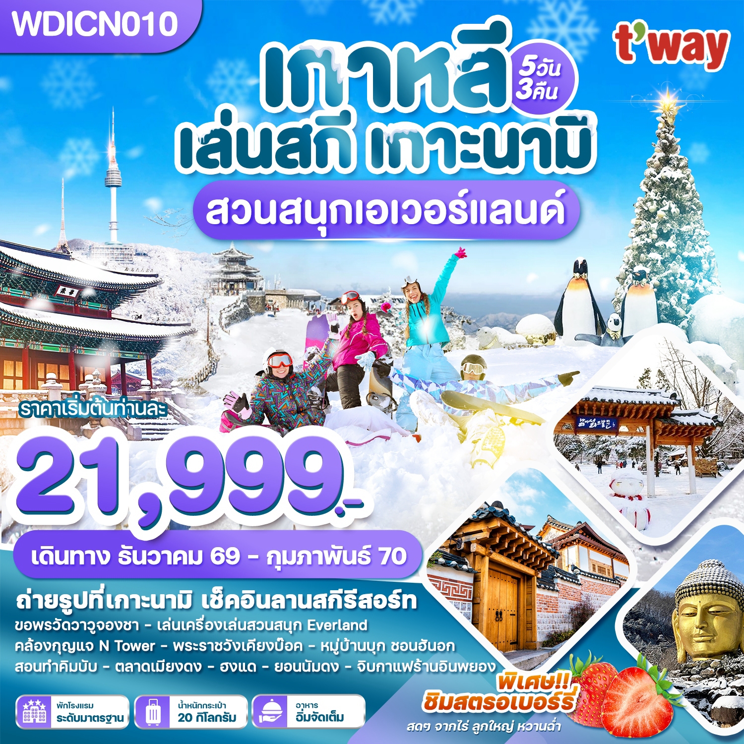WDICN010 เกาหลี เล่นสกี เกาะนามิ เที่ยวปีใหม่!! สวนสนุกเอเวอร์แลนด์ 5วัน3คืน บิน TW